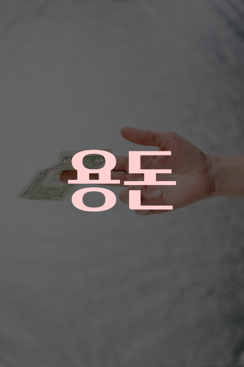 용돈