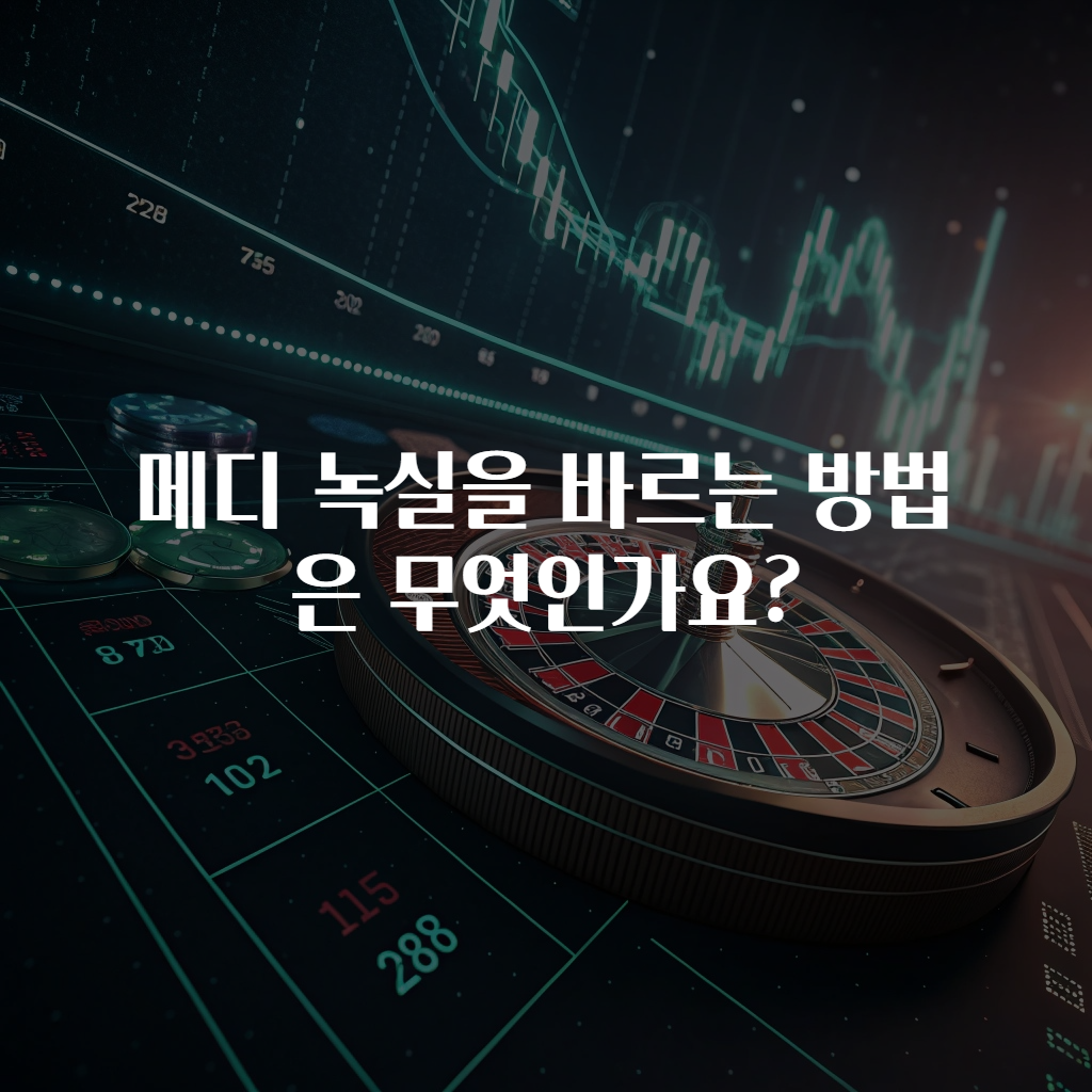 메디 녹실을 바르는 방법은 무엇인가요?