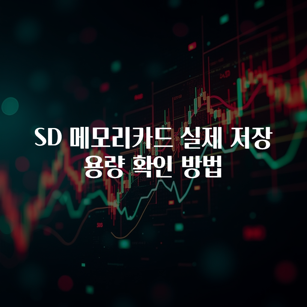SD 메모리카드 실제 저장 용량 확인 방법