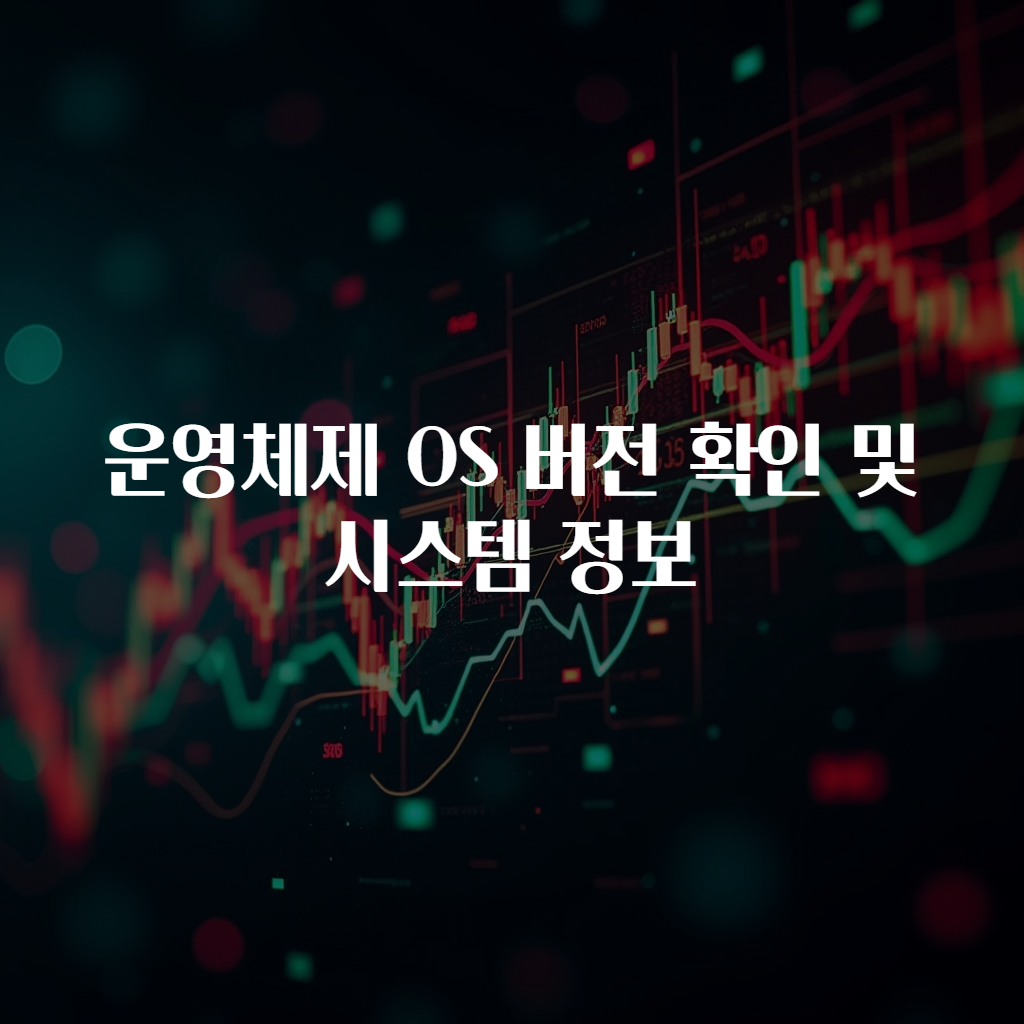 운영체제 OS 버전 확인 및 시스템 정보