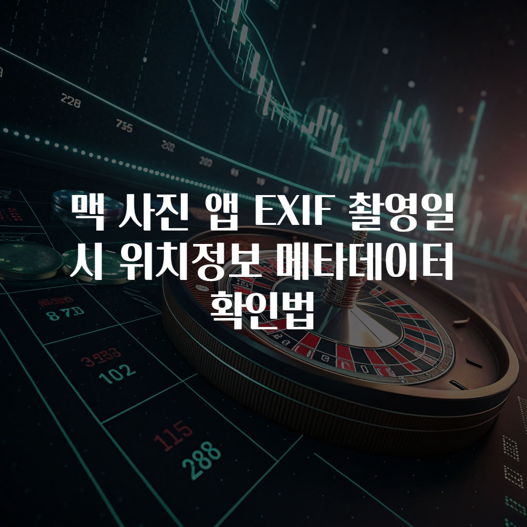 맥 사진 앱 EXIF 촬영일시 위치정보 메타데이터 확인법