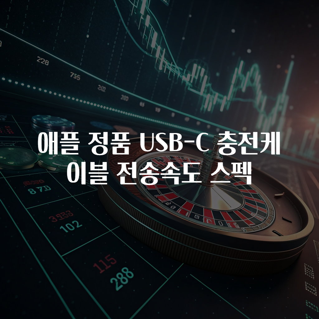애플 정품 USB-C 충전케이블 전송속도 스펙