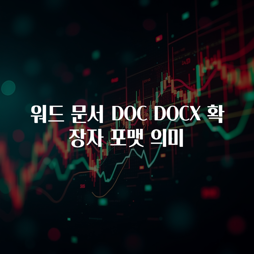 워드 문서 DOC DOCX 확장자 포맷 의미